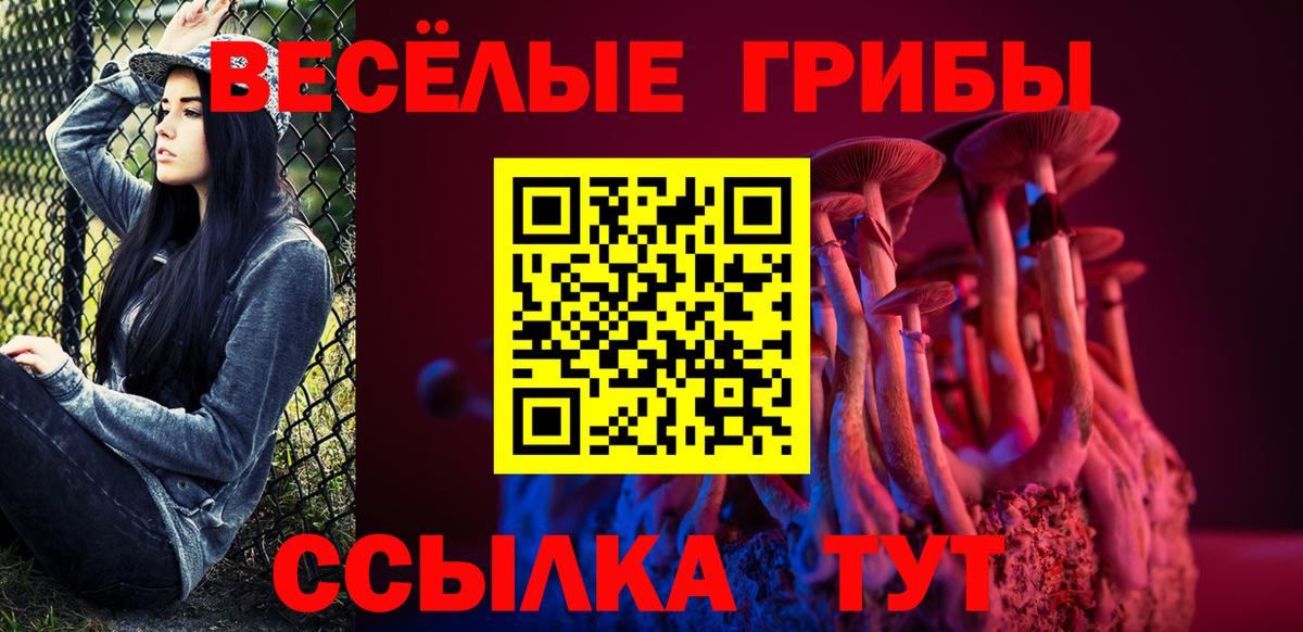 Похвистнево  Псилоцибиновые грибы Cubensis  Вход с VPN  Псилоцибиновые грибы ЛСД 