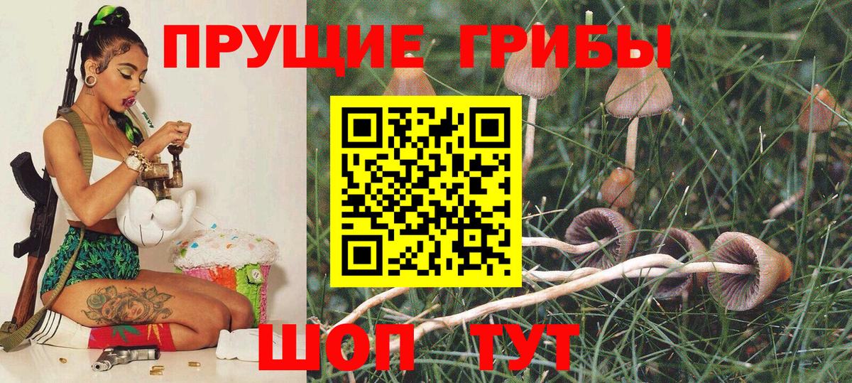 Псилоцибиновые грибы GOLDEN TEACHER Похвистнево